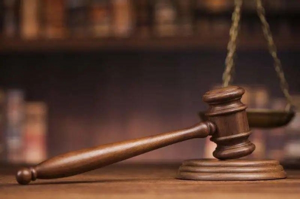 回顾：13岁的小恶魔因为母亲不让他玩手机游戏他用菜刀把母亲砍死(图6)